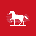 DP